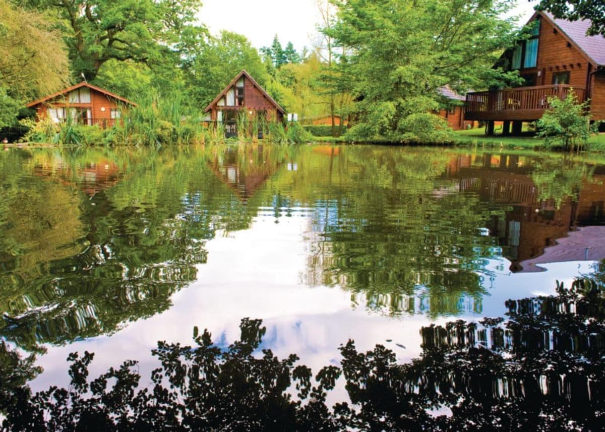Whitemead Forest Park Hotel Parkend Esterno foto