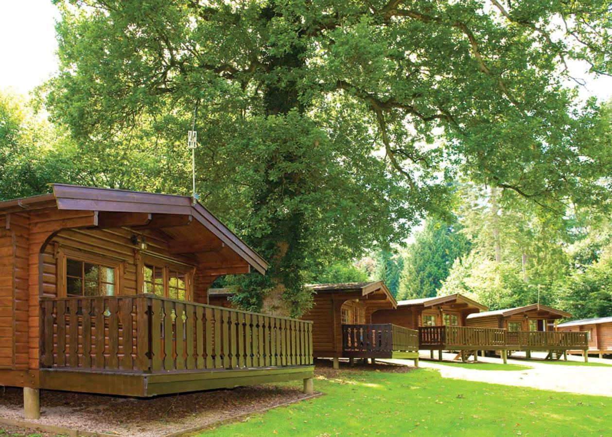 Whitemead Forest Park Hotel Parkend Esterno foto
