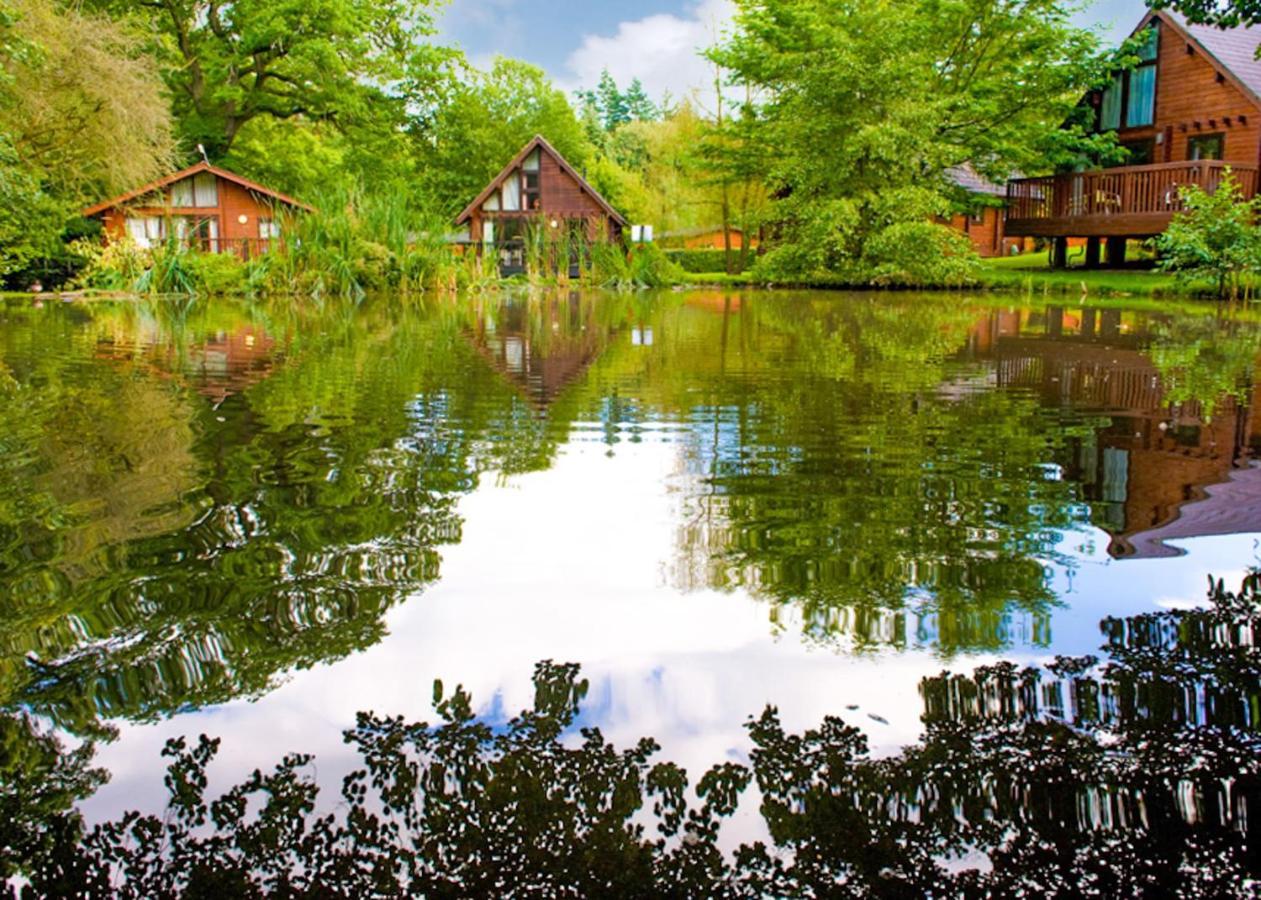 Whitemead Forest Park Hotel Parkend Esterno foto
